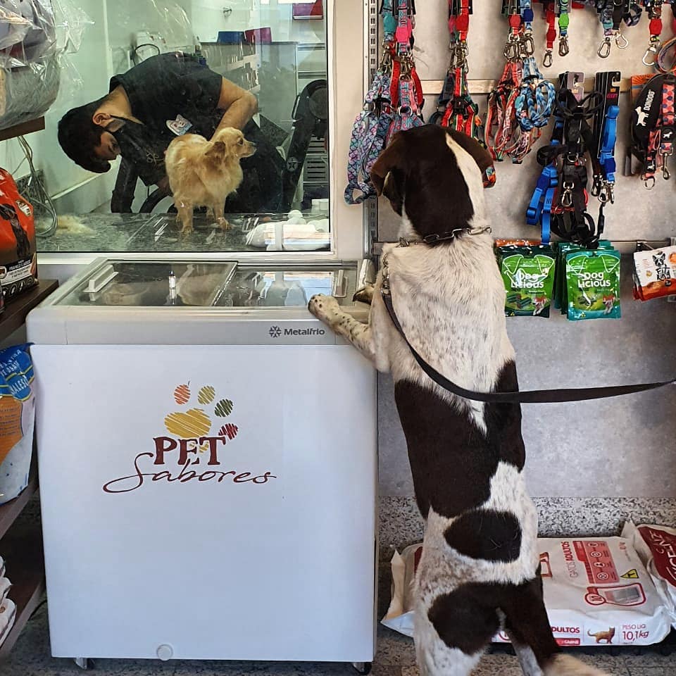 PetCarioca